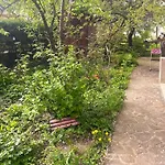 아파트 Rose's Oldtown 브라쇼브