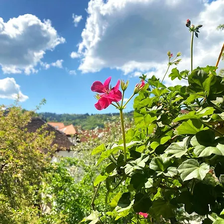 Апартаменты Rose's Oldtown *