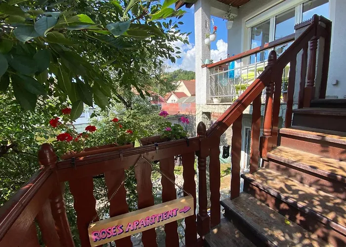 Rose's Oldtown 公寓 布拉索夫