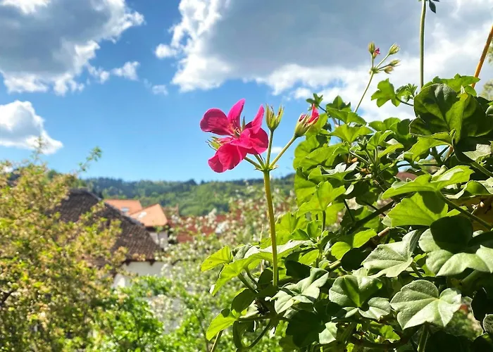 Apartment Rose's Oldtown *