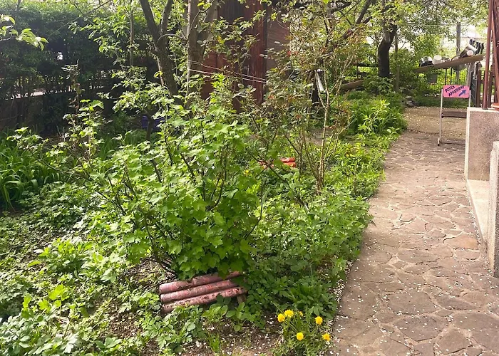 Apartment Rose's Oldtown Brasov