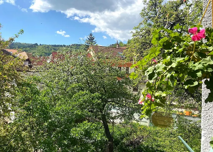 Apartment Rose's Oldtown